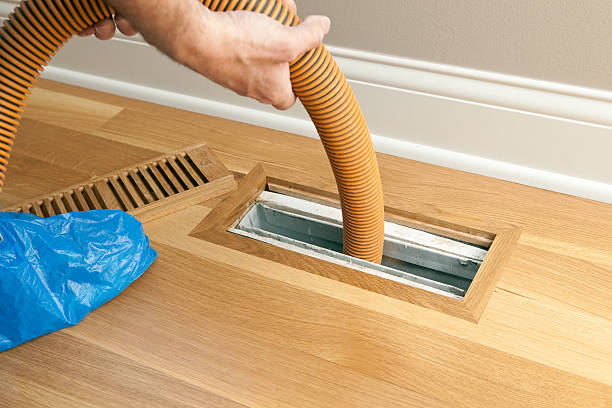 Best Professional Duct Cleaning Services  in South El Monte, CA